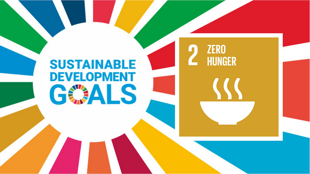 Sustainable development goal education quality why united un nations sdgs important purpose Sdg2