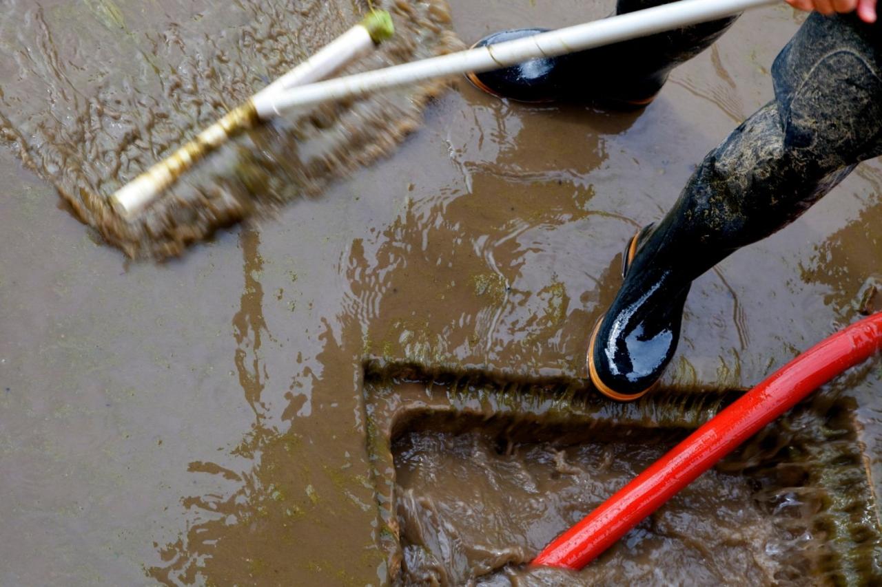 Restoration water companies Water restoration companies