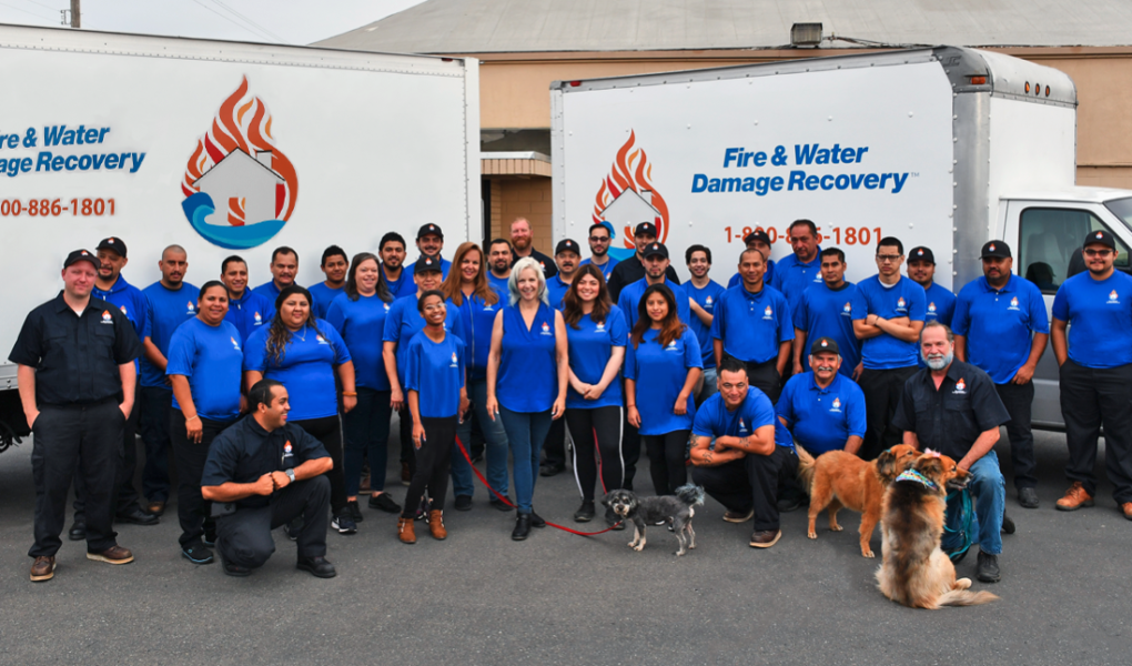 Rooter roto Water restoration companies