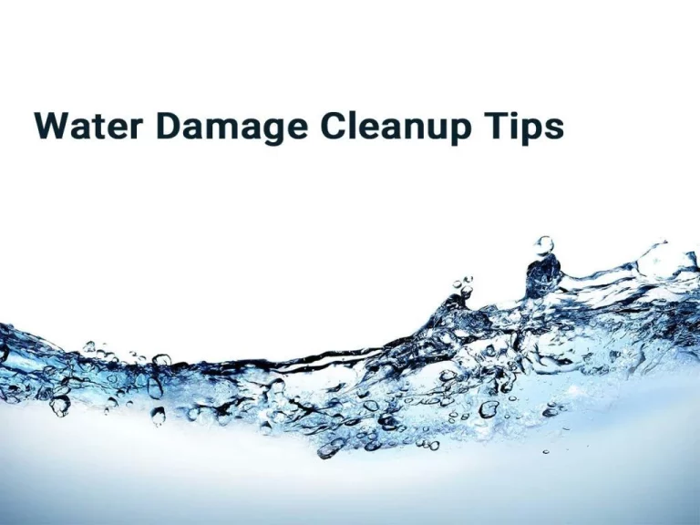 Water damage restoration companies